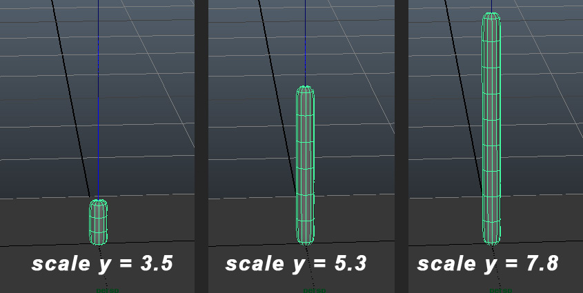 flower stem's "y scale" relationship with the poly split ring" node